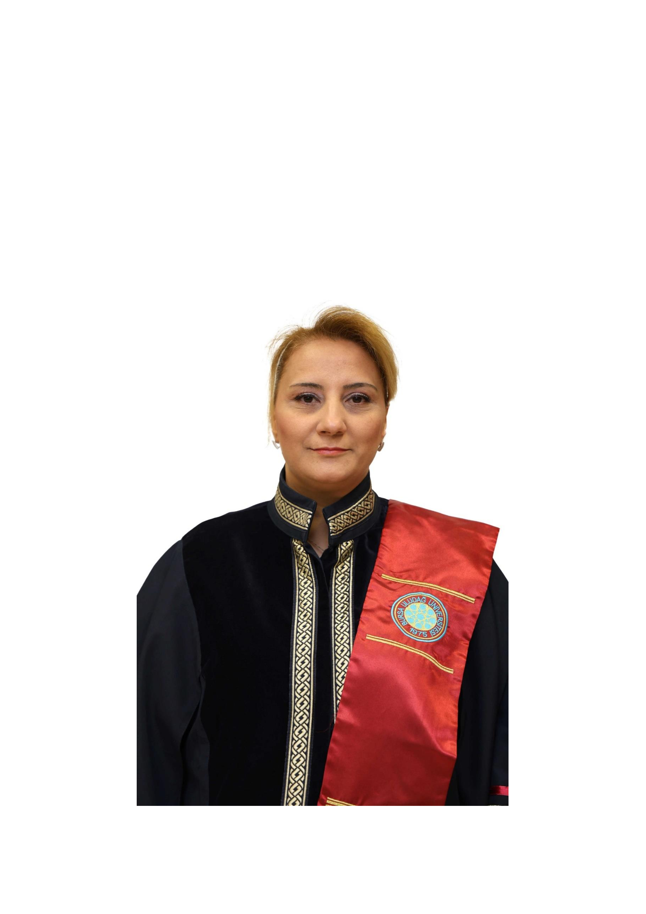 BÖLÜM BAŞKANIMIZIN TÜBİTAK 1001 PROJE BAŞARISI